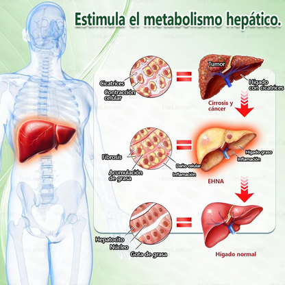 🎁 ¡Solo quedan 5 cajas! ¡Te ofrecemos un 50% de descuento adicional! Ponte en forma y mantente saludable. Pierde peso ahora o quizá no tengas otra oportunidad hasta el próximo año.